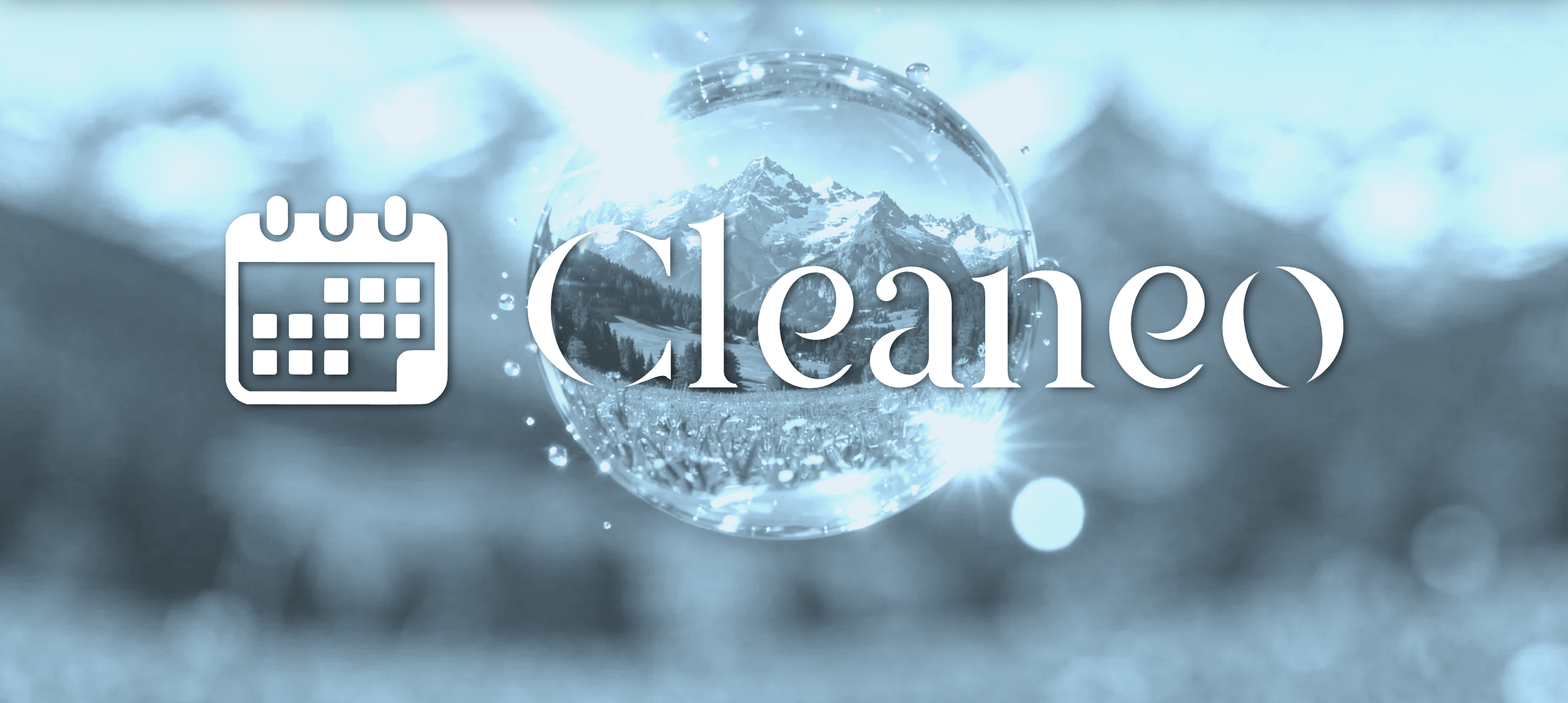 Dashboard Cleaneo